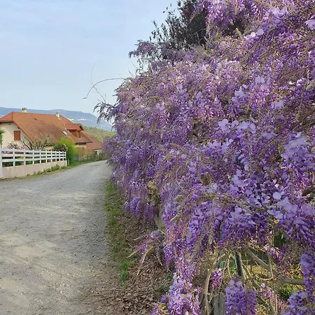 Spacieux Et T3 Entre Campagne Et Montagne